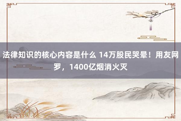 法律知识的核心内容是什么 14万股民哭晕！用友网罗，1400亿烟消火灭