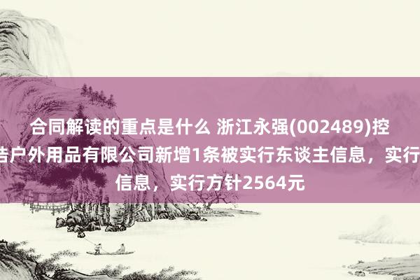 合同解读的重点是什么 浙江永强(002489)控股的河南永浩户外用品有限公司新增1条被实行东谈主信息，实行方针2564元