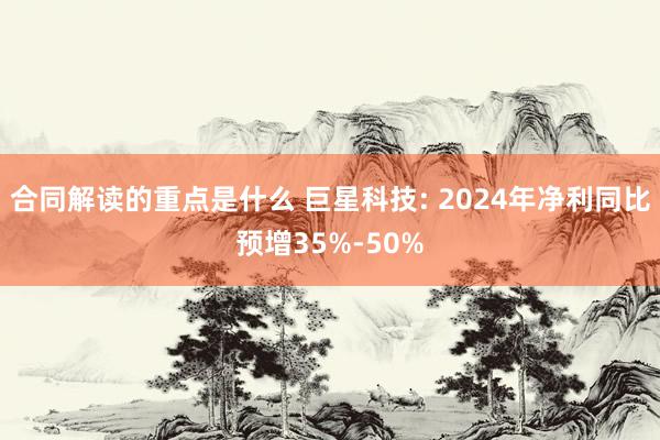 合同解读的重点是什么 巨星科技: 2024年净利同比预增35