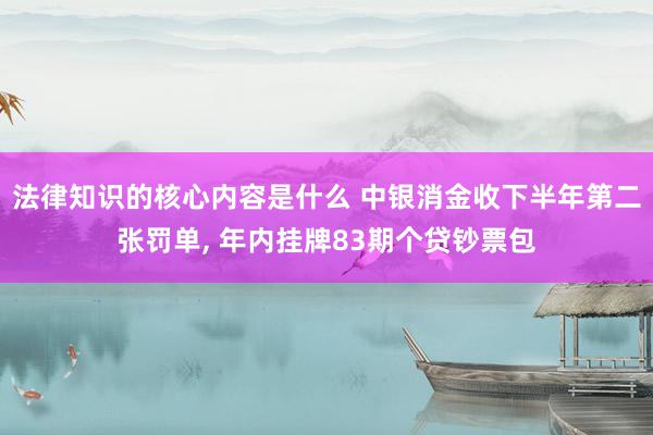 法律知识的核心内容是什么 中银消金收下半年第二张罚单, 年内挂牌83期个贷钞票包