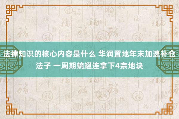 法律知识的核心内容是什么 华润置地年末加速补仓法子 一周期蜿