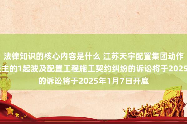 法律知识的核心内容是什么 江苏天宇配置集团动作原告/上诉东谈