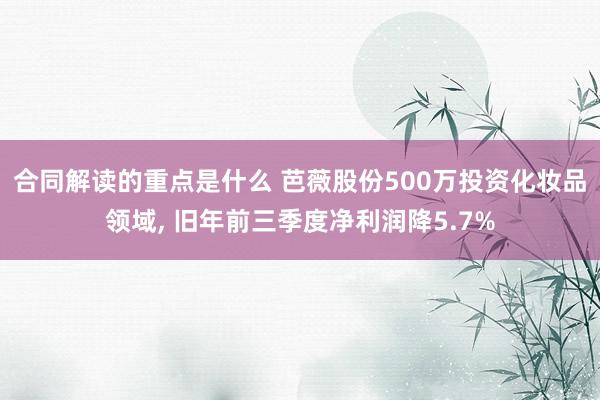 合同解读的重点是什么 芭薇股份500万投资化妆品领域, 旧年前三季度净利润降5.7%