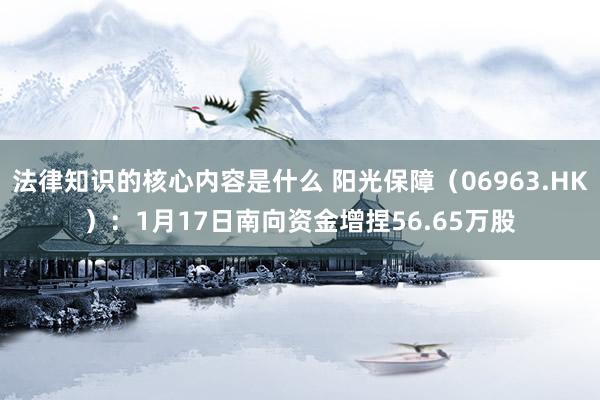 法律知识的核心内容是什么 阳光保障（06963.HK）：1月17日南向资金增捏56.65万股