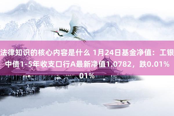 法律知识的核心内容是什么 1月24日基金净值：工银中债1-5年收支口行A最新净值1.0782，跌0.01%