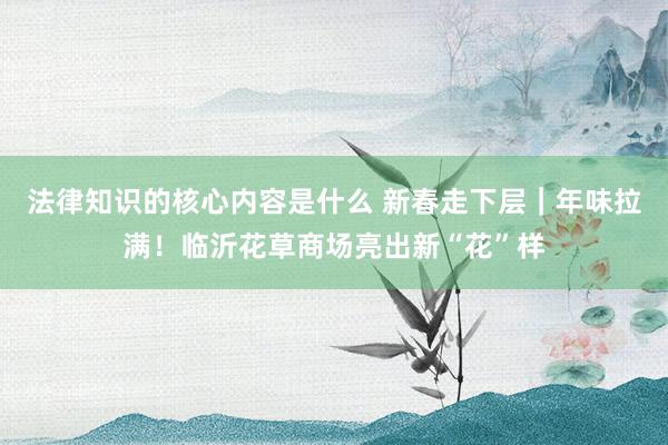 法律知识的核心内容是什么 新春走下层｜年味拉满！临沂花草商场亮出新“花”样