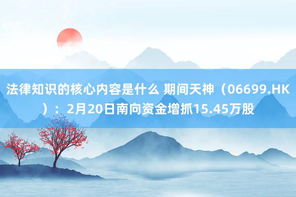 法律知识的核心内容是什么 期间天神（06699.HK）：2月20日南向资金增抓15.45万股